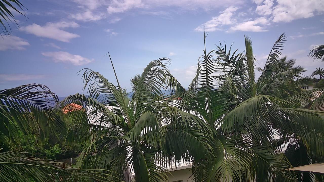 Un Petit Coin De Paradis A La Reunion 생조세프 외부 사진