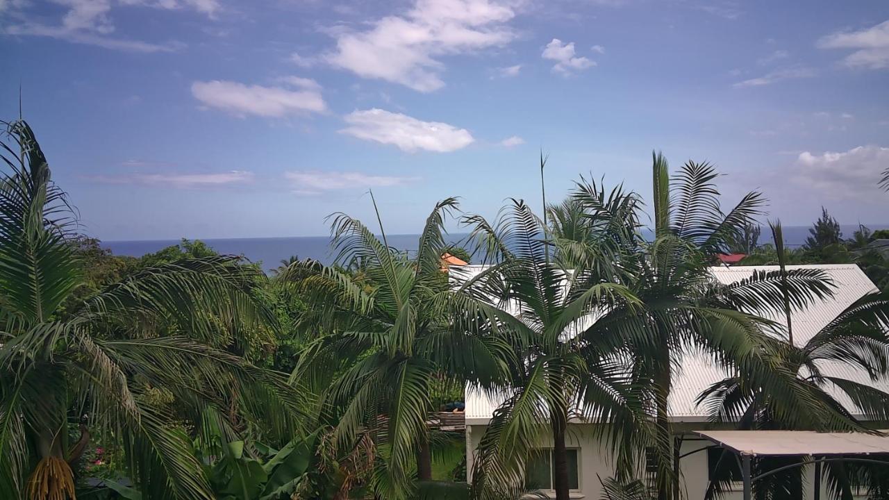 Un Petit Coin De Paradis A La Reunion 생조세프 외부 사진