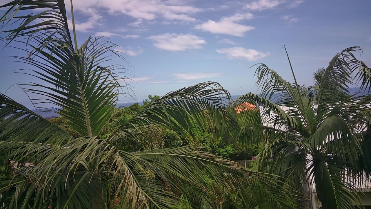 Un Petit Coin De Paradis A La Reunion 생조세프 외부 사진